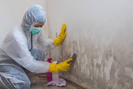 Best Mold Odor Removal Services in , MS